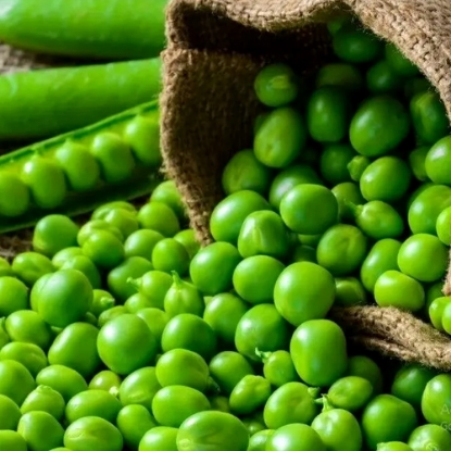 تصویر از نخود فرنگی