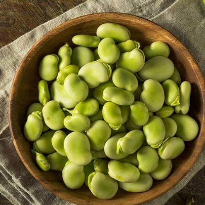 تصویر از باقالا