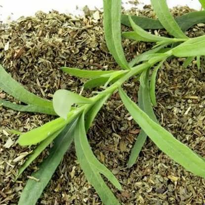 تصویر از ترخون خشک