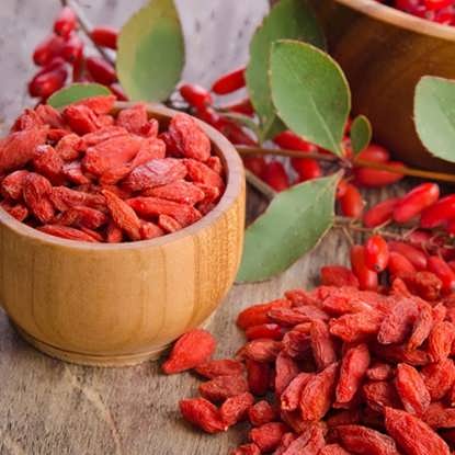 تصویر از رب زرشک